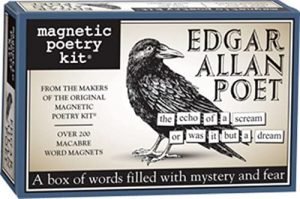 Poetry fridge magnets