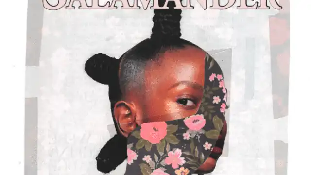 Promo image -Salamander Magazine